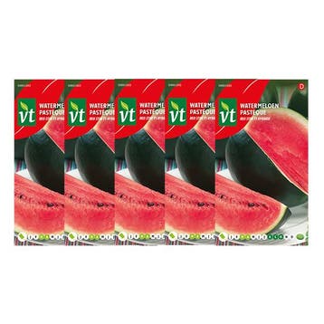 Watermeloen zaad | VT | 5 stuks, Verzenden