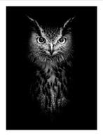 Jeffrey Van Daele - Sentinel of Wisdom, Antiek en Kunst