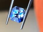 1 pcs Blauw Saffier - 2.40 ct - Gemological Institute of, Sieraden, Tassen en Uiterlijk, Edelstenen, Nieuw