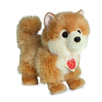Dwerg keeshond knuffel - pluche - lichtbruin - 22 cm, Verzenden, Nieuw