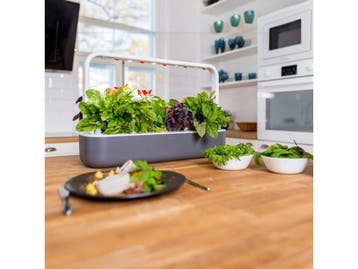 Click & Grow Smart Garden 9 - Binnentuin - LED-verlichting -, Verzenden, Nieuw