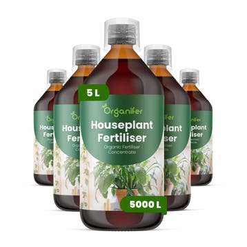 Kamerplanten vloeibare meststof - Set 5x1 liter, Verzenden, Mest