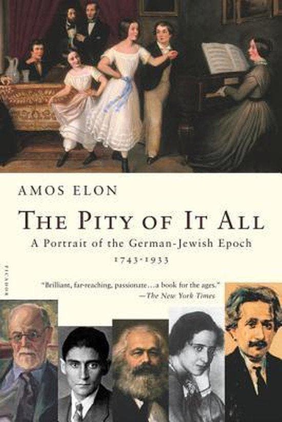 The Pity of It All, Boeken, Literatuur, Ophalen of Verzenden