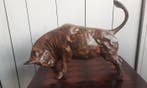 Beeldje - Stier - 40 cm - Brons, Antiek en Kunst, Curiosa en Brocante