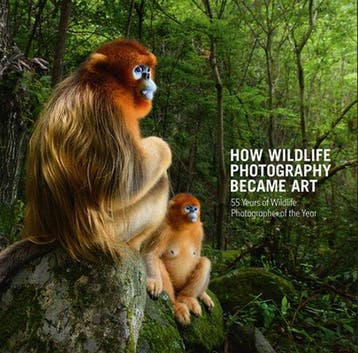 9780565095130 How Wildlife Photography Became Art 55 Year..., Verzenden, Nieuw, Rosamund Kidman Cox