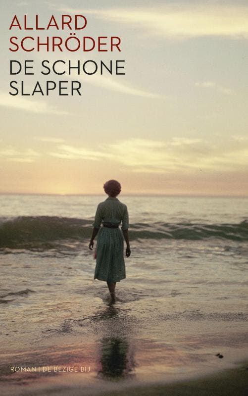 De schone slaper 9789023449706 Allard Schröder, Boeken, Romans, Zo goed als nieuw, Verzenden