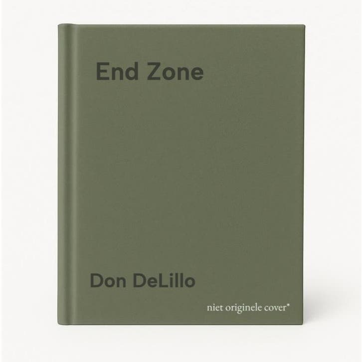 End Zone - Don DeLillo 9780330524964, Boeken, Taal | Engels, Gelezen, Verzenden