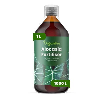 Alocasia Vloeibare Meststof - 1 Liter, Verzenden, Mest