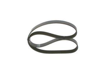 POLY V-RIEM, Verzenden, Nieuw