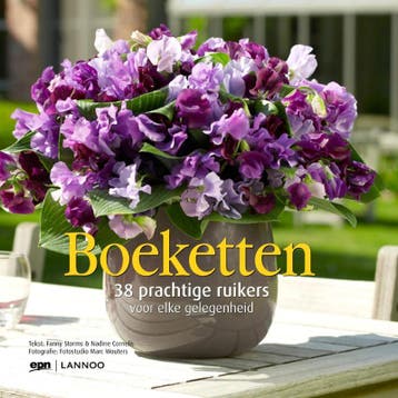 Boeketten - Fanny Stomrs 9789020990461, Verzenden, Gelezen, Fanny Stomrs