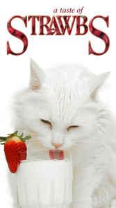 cd box - Strawbs - A Taste Of Strawbs, Cd's en Dvd's, Verzenden, Zo goed als nieuw