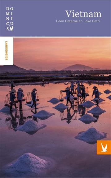 Vietnam / Dominicus landengids - Joke Petri 9789025763503, Verzenden, Gelezen, Joke Petri