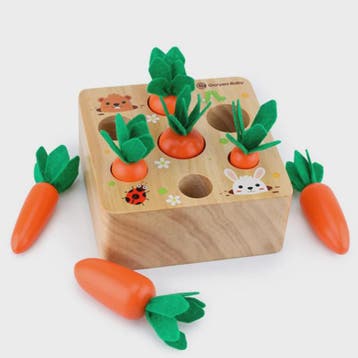 Houten Montessori Wortel Puzzel - Educatief Speelgoed voor B, Verzenden, Nieuw