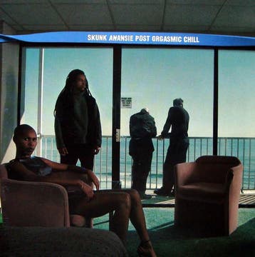 cd - Skunk Anansie - Post Orgasmic Chill, Verzenden, Zo goed als nieuw