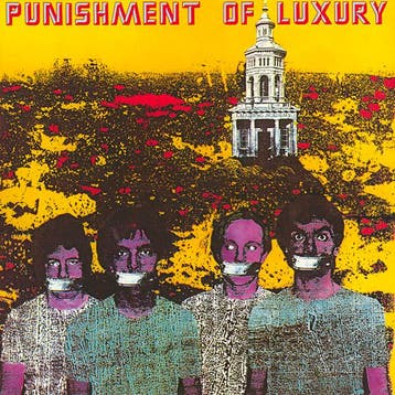 LP gebruikt - Punishment Of Luxury - Laughing Academy, Cd's en Dvd's, Verzenden, Zo goed als nieuw, Overige formaten