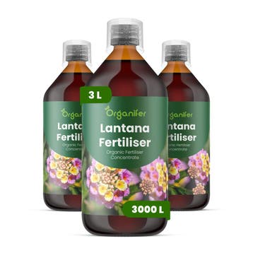 Lantana Vloeibare meststof - Set 3x1 liter, Verzenden, Mest