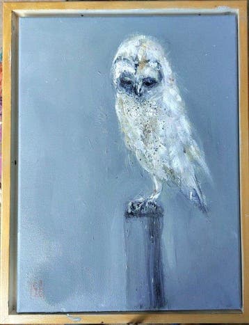 Dorien Plaat - Young owl