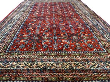 Bidjar - Gereinigd - Vloerkleed - 245 cm - 165 cm, Nieuw
