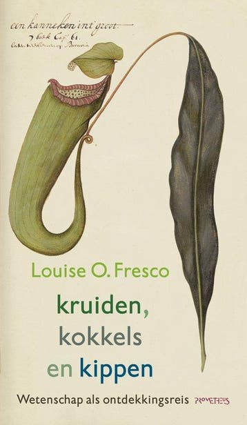 Essay Maand van de Geschiedenis - Kruiden, Verzenden, Gelezen