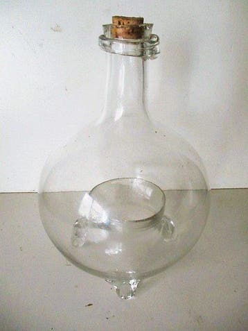 Fles - Mondgeblazen glas - Grote vliegen- wespenvanger in, Antiek en Kunst