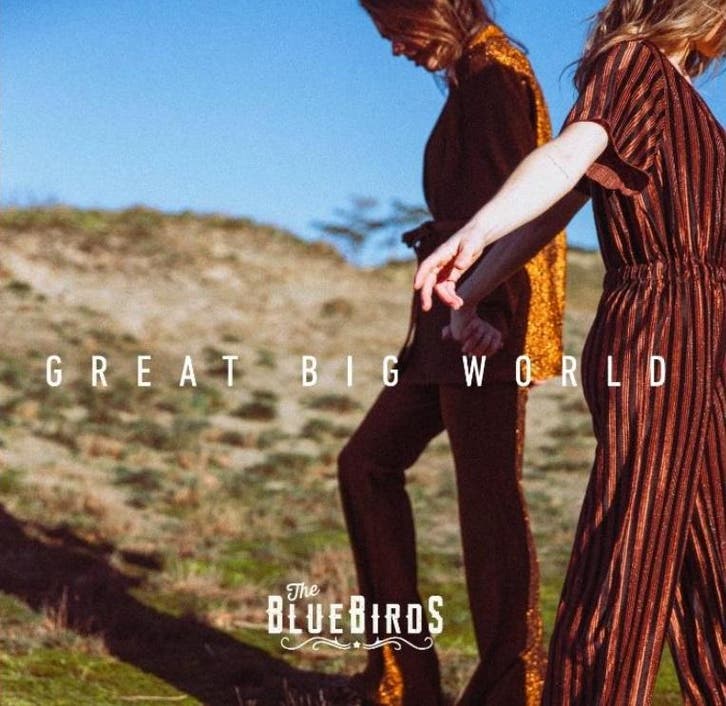 The Bluebirds - Great Big World - CD, Cd's en Dvd's, Cd's | Overige Cd's, Ophalen of Verzenden