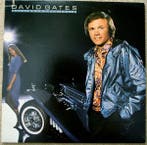 LP gebruikt - David Gates - Falling In Love Again, Cd's en Dvd's, Verzenden, Zo goed als nieuw