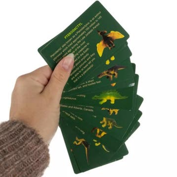 Kruzzel Dinosaur Egg - Educatieve Opgravingskit - Inclusi..., Ophalen of Verzenden, Nieuw