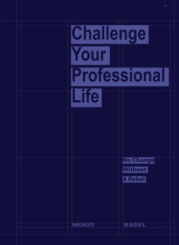 Challenge Your Professional Life 9789082884869 A. Rebel, Boeken, Verzenden, Zo goed als nieuw, A. Rebel