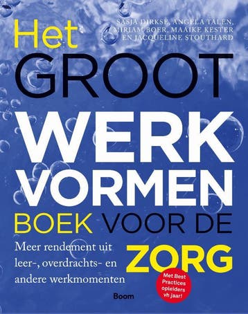 Het groot werkvormenboek voor de zorg - Sasja Dirkse, Verzenden, Gelezen, Sasja Dirkse