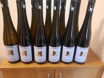 2025 Weingut Nothnagl, Grüner Veltliner Ried Burgberg, Nieuw
