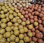 Boilies | Bloodworm, Tijgernoot, Scopex, Tuna - Bulk prijzen, Ophalen of Verzenden, Nieuw, Overige typen