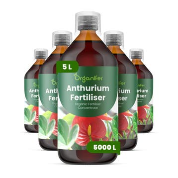 Anthurium Vloeibare Meststof - 5x1 Liter, Verzenden, Mest