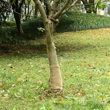 vidaXL Jute rol 200 g/m² 0,25x15 m 100% jute, Verzenden, Nieuw
