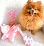 Honden knuffel en traktatie pakket roze, Dieren en Toebehoren, Honden-accessoires, Verzenden, Nieuw