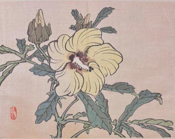 Yellow hibiscus - Kno Bairei (1844-1895) - Japan - Meiji