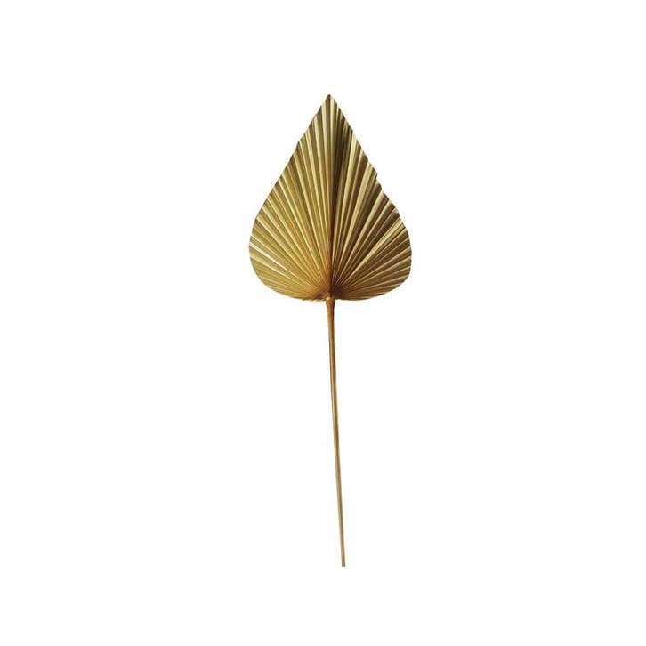 *palmblad tak gedroogd puntig 40cm*, Huis en Inrichting, Woonaccessoires | Overige, Verzenden