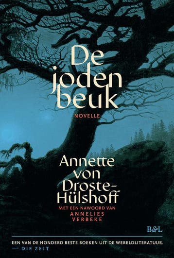De Jodenbeuk | Annette Von Droste Hülshoff | Nieuw, Ophalen of Verzenden, Nieuw, Annette Von Droste Hülshoff