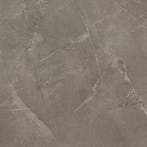 Vloertegel/Wandtegel Grijs 60x60cm (Vloeren, Bouwmaterialen), 60 cm of meer, Nieuw, Ophalen of Verzenden, 10 m² of meer