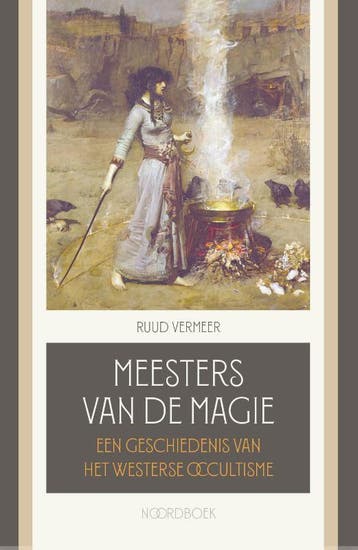 Meesters Van De Magie | Ruud Vermeer | Nieuw, Boeken, Geschiedenis | Wereld, Ophalen of Verzenden, Nieuw, Ruud Vermeer