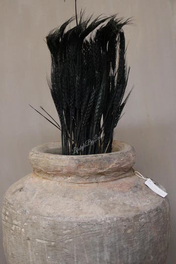 Bos gedroogde tarwe stengels Black 75 cm, Ophalen of Verzenden, Nieuw