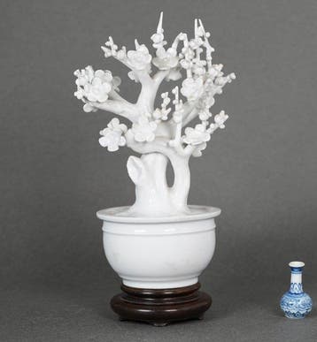 Plum blossom trees in nicely formed jardinière - Porselein -