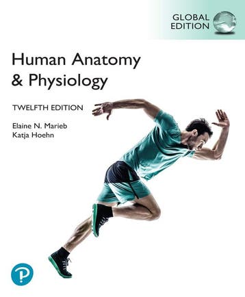 Human Anatomy ampamp Physiology Global Edition 9781292421803, Verzenden, Zo goed als nieuw