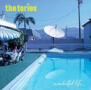 cd - Tories - Wonderful Life, Verzenden, Zo goed als nieuw