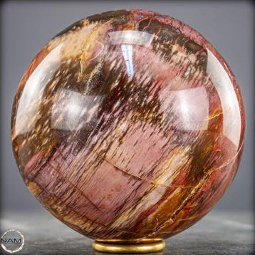 Natuurlijk versteend hout als bol – Intense houtnering in