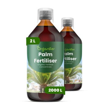 Palm Vloeibare Meststof - Set 2x1 liter, Verzenden, Mest