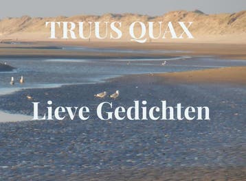 Lieve Gedichten | Truus Quax | Nieuw, Ophalen of Verzenden, Nieuw, Truus Quax