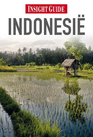Indonesie / Insight guides 9789066554269, Verzenden, Gelezen