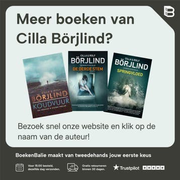 The Spring Tide - Cilla Börjlind 9781843914914, Boeken, Verzenden, Gelezen, Cilla Börjlind
