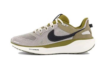 Nike Air Zoom Pegasus 41 SP College Grey Anthracite, Nieuw
