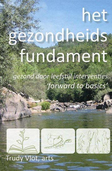 Het gezondheidsfundament 9789082628807 Trudy Vlot, Boeken, Verzenden, Zo goed als nieuw, Trudy Vlot